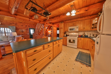 Log Home with Old-Growth Forest for sale in Monroe County - image 16