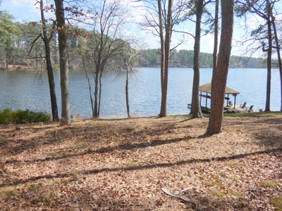 Holly Lake Ranch 3/2 + Lakefront Lot & Access To Golf Course - image 38