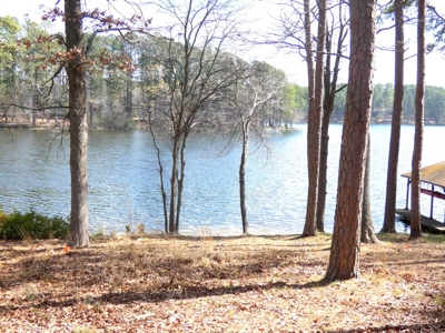 Holly Lake Ranch 3/2 + Lakefront Lot & Access To Golf Course - image 36