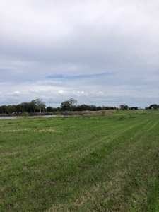 New Price! Commercial Property On Interstate 10 In Rayne, La - image 7