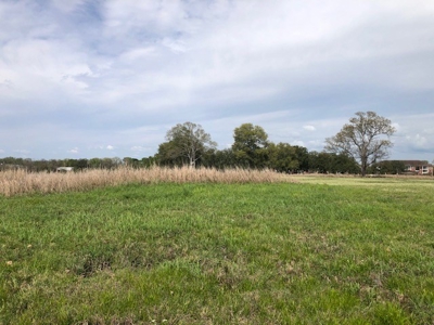 New Price! Commercial Property On Interstate 10 In Rayne, La - image 6