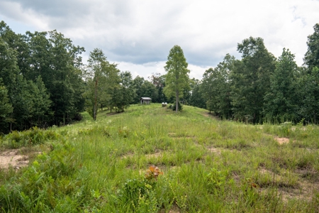 Land for Sale with Acreage in Lewis County Tennessee - image 46