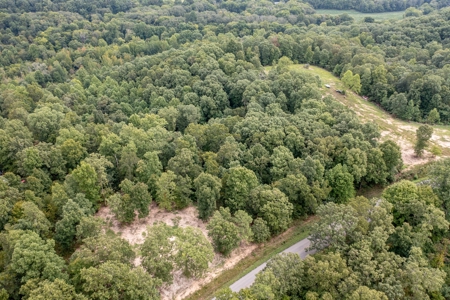 Land for Sale with Acreage in Lewis County Tennessee - image 28