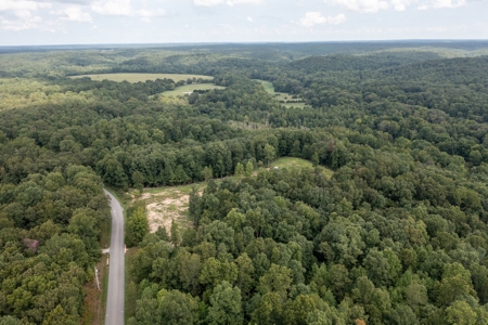 Land for Sale with Acreage in Lewis County Tennessee - image 33