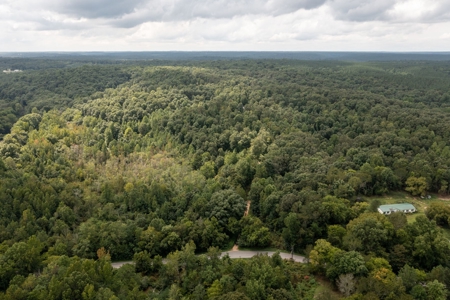 Land for Sale with Acreage in Lewis County Tennessee - image 15