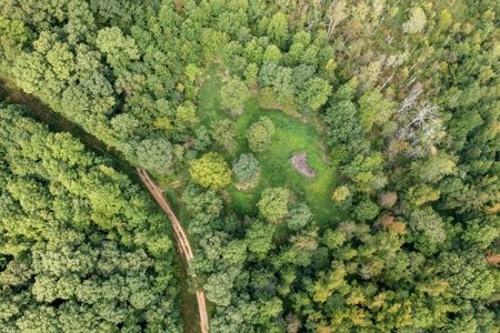 Land for Sale with Acreage in Lewis County Tennessee - image 39