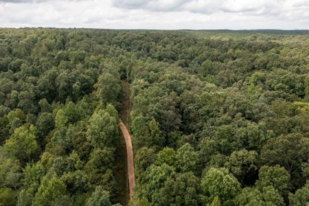 Land for Sale with Acreage in Lewis County Tennessee - image 19