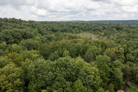 Land for Sale with Acreage in Lewis County Tennessee - image 26