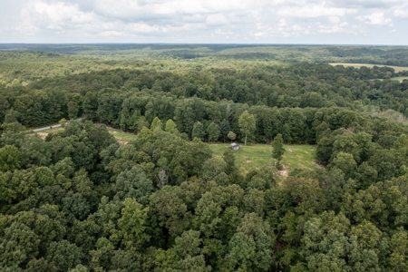 Land for Sale with Acreage in Lewis County Tennessee - image 31