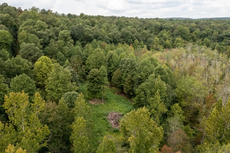 Land for Sale with Acreage in Lewis County Tennessee - image 27