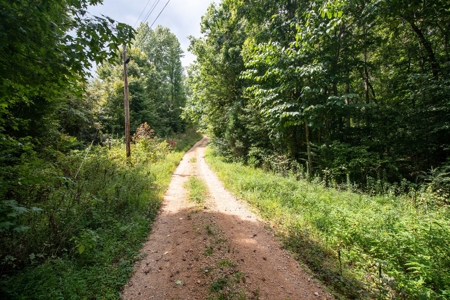 Land for Sale with Acreage in Lewis County Tennessee - image 43