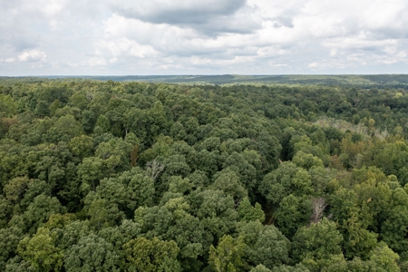 Land for Sale with Acreage in Lewis County Tennessee - image 36