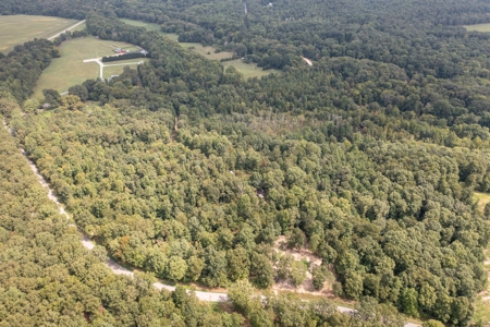 Land for Sale with Acreage in Lewis County Tennessee - image 40