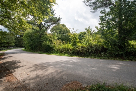 Land for Sale with Acreage in Lewis County Tennessee - image 42