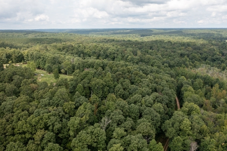 Land for Sale with Acreage in Lewis County Tennessee - image 35