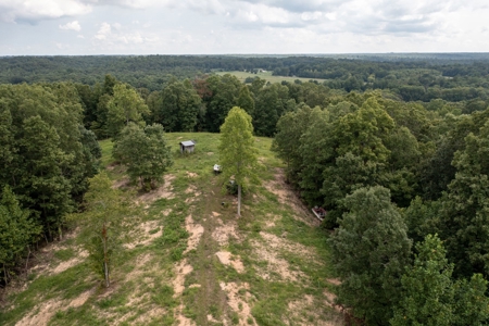 Land for Sale with Acreage in Lewis County Tennessee - image 30