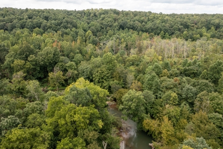 Land for Sale with Acreage in Lewis County Tennessee - image 20