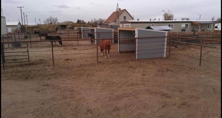 Trickle Creek Stables Equine Property - image 8