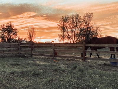 Trickle Creek Stables Equine Property - image 9