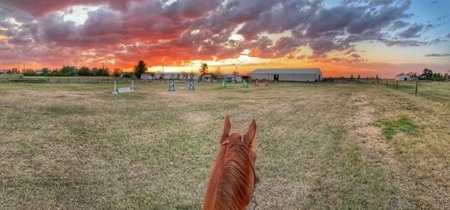 Trickle Creek Stables Equine Property - image 13