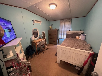 Home for Sale - 597 Dorsey Rd, Carthage, MS 39051 - image 14