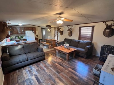 Home for Sale - 597 Dorsey Rd, Carthage, MS 39051 - image 3