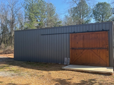 Home for Sale - 597 Dorsey Rd, Carthage, MS 39051 - image 22