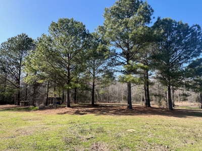 Home for Sale - 597 Dorsey Rd, Carthage, MS 39051 - image 16