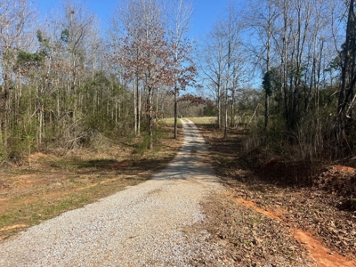 Home for Sale - 597 Dorsey Rd, Carthage, MS 39051 - image 23