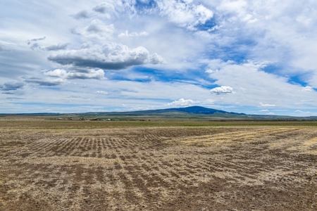 Central Montana Farm Ground, Investment near Lewistown, MT - image 47