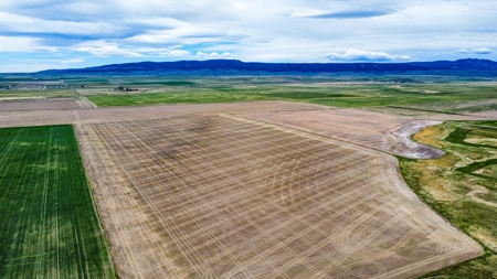 Central Montana Farm Ground, Investment near Lewistown, MT - image 10