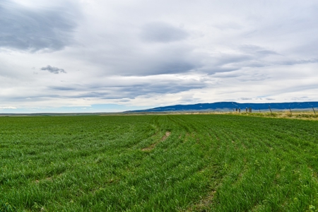 Central Montana Farm Ground, Investment near Lewistown, MT - image 30