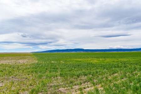 Central Montana Farm Ground, Investment near Lewistown, MT - image 25