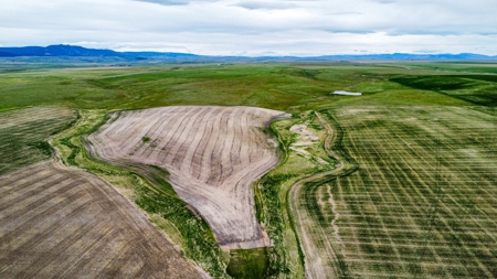 Central Montana Farm Ground, Investment near Lewistown, MT - image 11