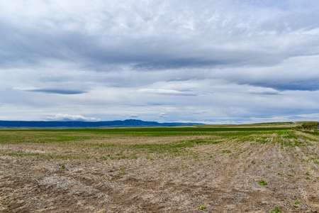 Central Montana Farm Ground, Investment near Lewistown, MT - image 46
