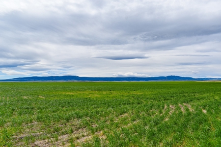 Central Montana Farm Ground, Investment near Lewistown, MT - image 24