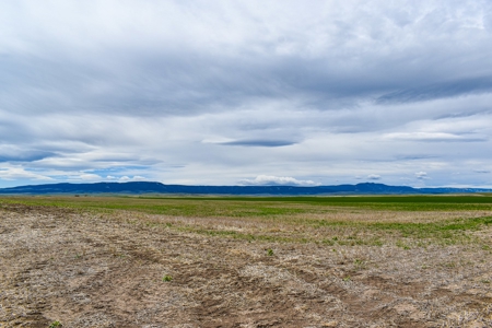 Central Montana Farm Ground, Investment near Lewistown, MT - image 44