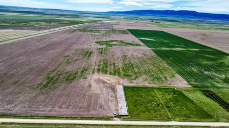 Central Montana Farm Ground, Investment near Lewistown, MT - image 4