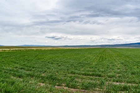 Central Montana Farm Ground, Investment near Lewistown, MT - image 31