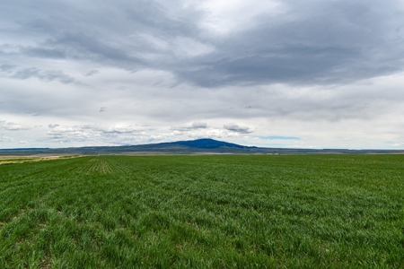Central Montana Farm Ground, Investment near Lewistown, MT - image 28
