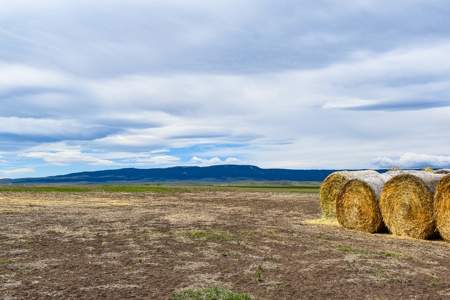 Central Montana Farm Ground, Investment near Lewistown, MT - image 43