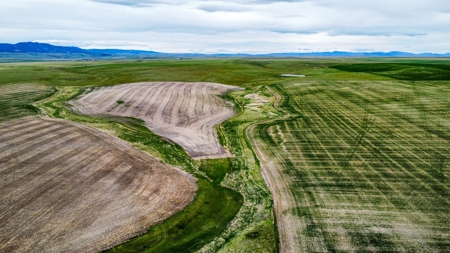 Central Montana Farm Ground, Investment near Lewistown, MT - image 14