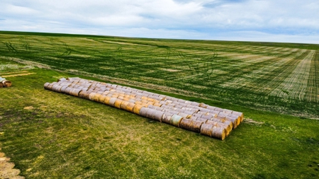 Central Montana Farm Ground, Investment near Lewistown, MT - image 22