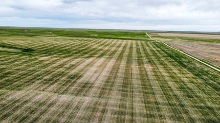 Central Montana Farm Ground, Investment near Lewistown, MT - image 23