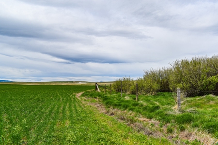 Central Montana Farm Ground, Investment near Lewistown, MT - image 26