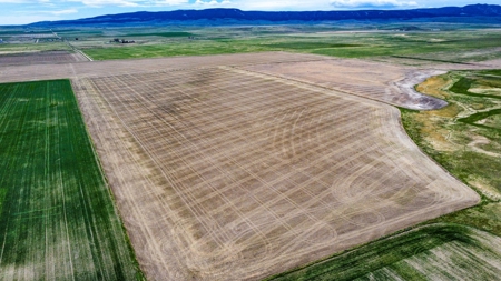 Central Montana Farm Ground, Investment near Lewistown, MT - image 9