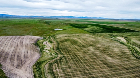 Central Montana Farm Ground, Investment near Lewistown, MT - image 20