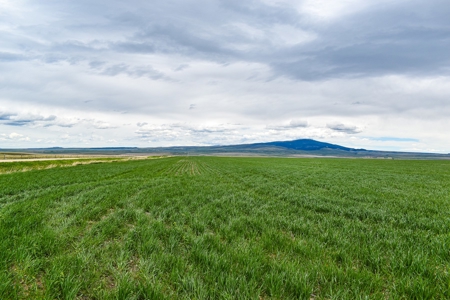 Central Montana Farm Ground, Investment near Lewistown, MT - image 29