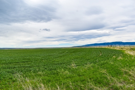 Central Montana Farm Ground, Investment near Lewistown, MT - image 27