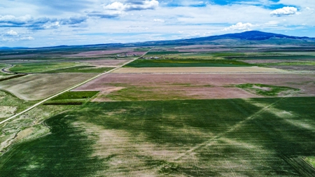 Central Montana Farm Ground, Investment near Lewistown, MT - image 5